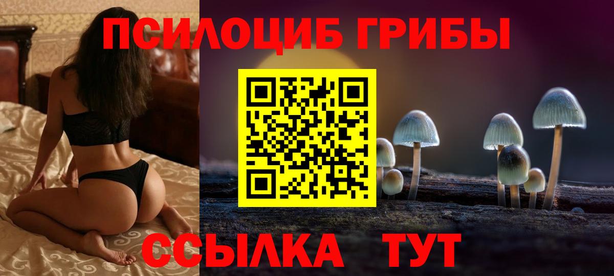 Шадринск  Псилоцибиновые грибы GOLDEN TEACHER  Вход с VPN 